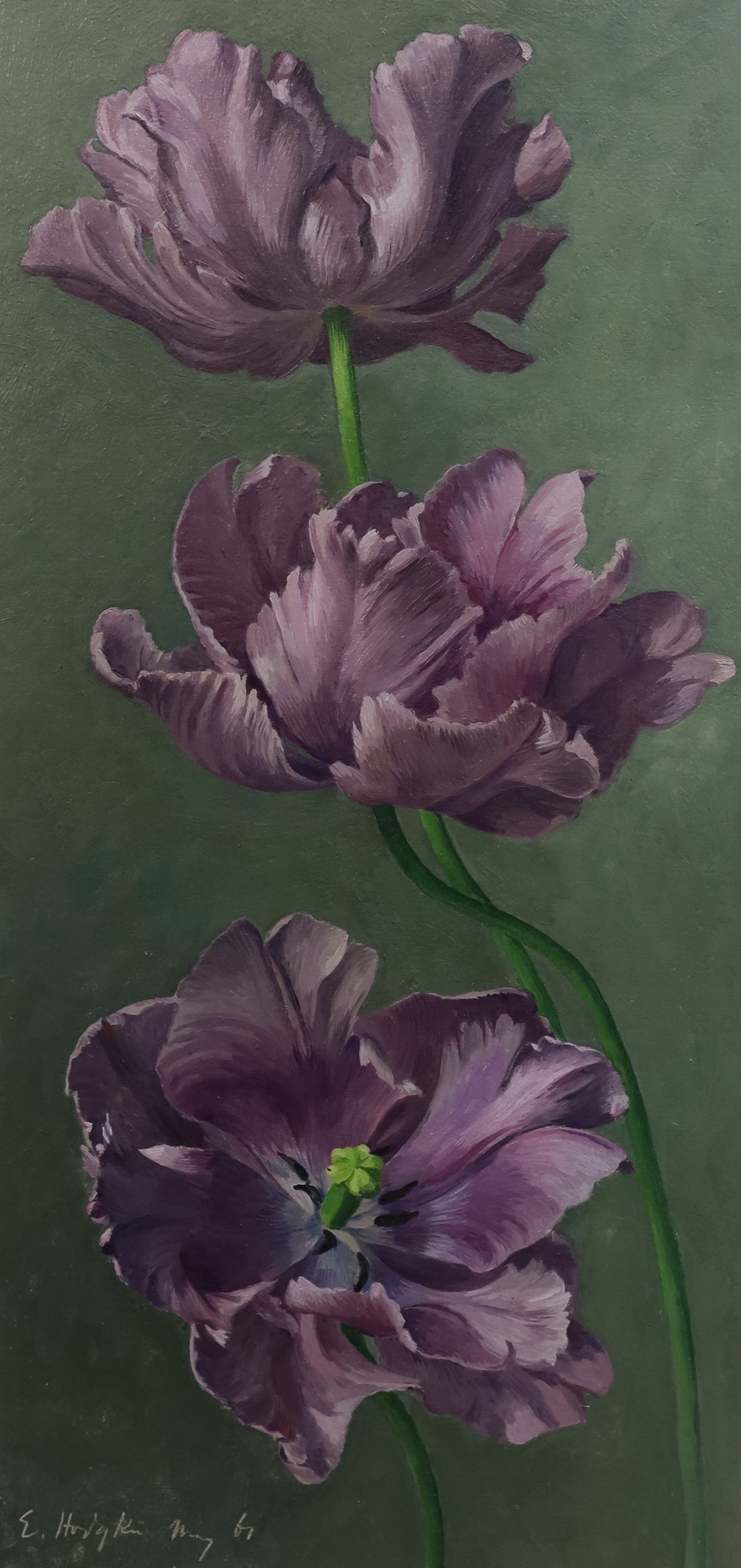 Eliot Hodgkin (British, 1905-1987), 'Tulips', oil on board, 43 x 21 cm